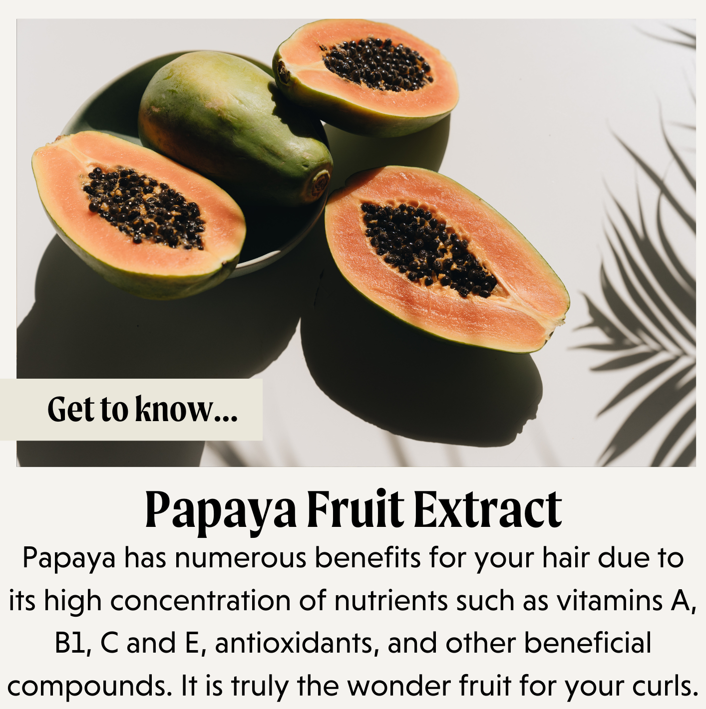 Try These Papaya Hair Masks To Solve All Your Hair Problems  HerZindagi