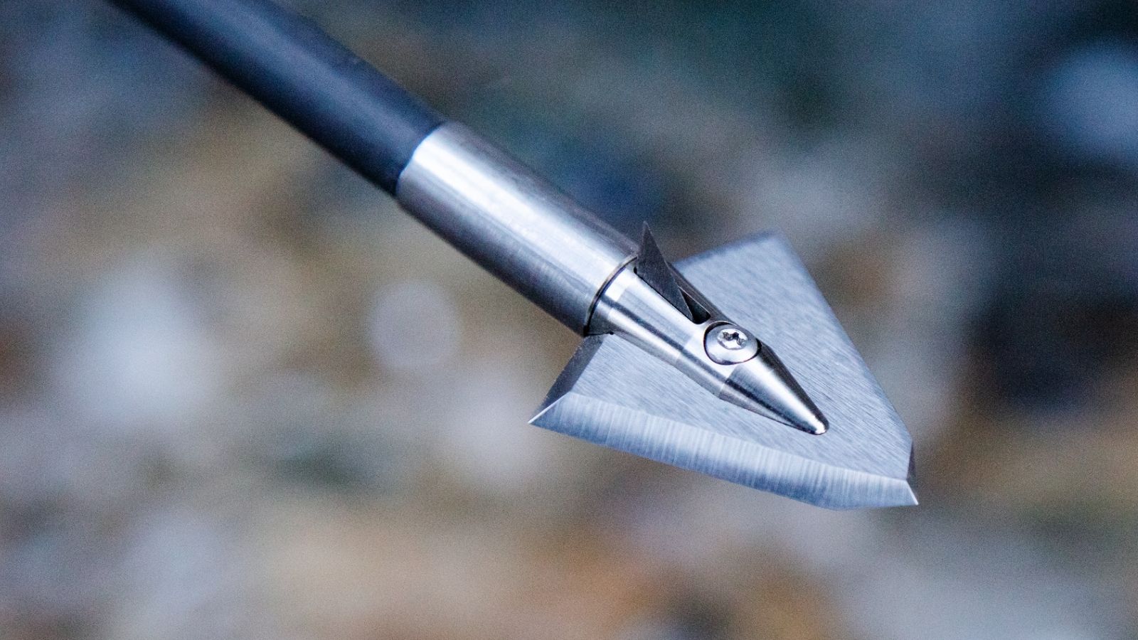 100 Grain Single Bevel Broadhead Field Test Results Iron Will Outfitters