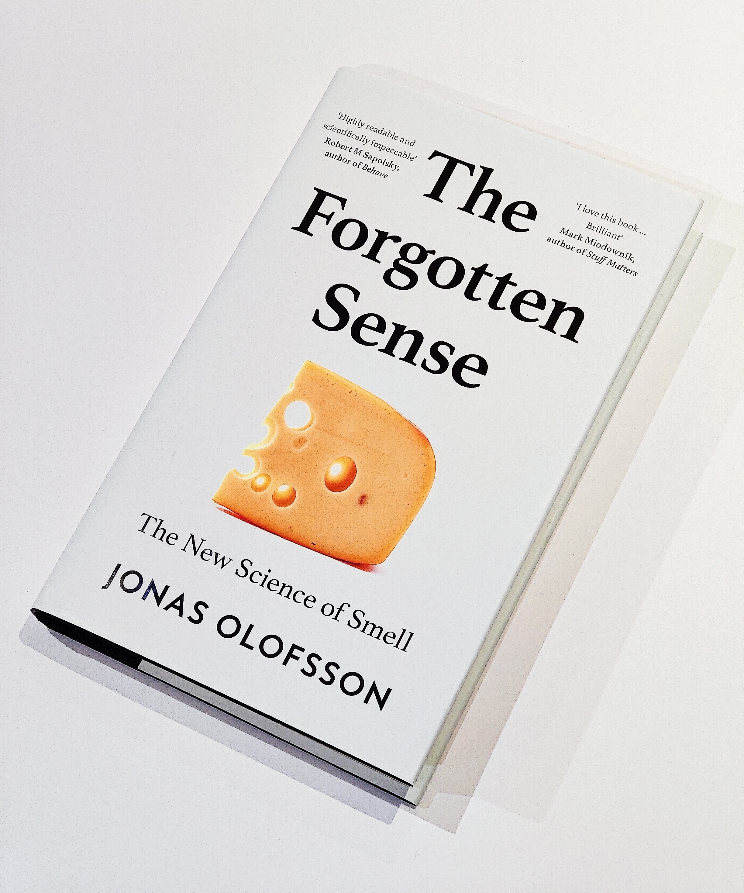 The Forgotten Sense - book