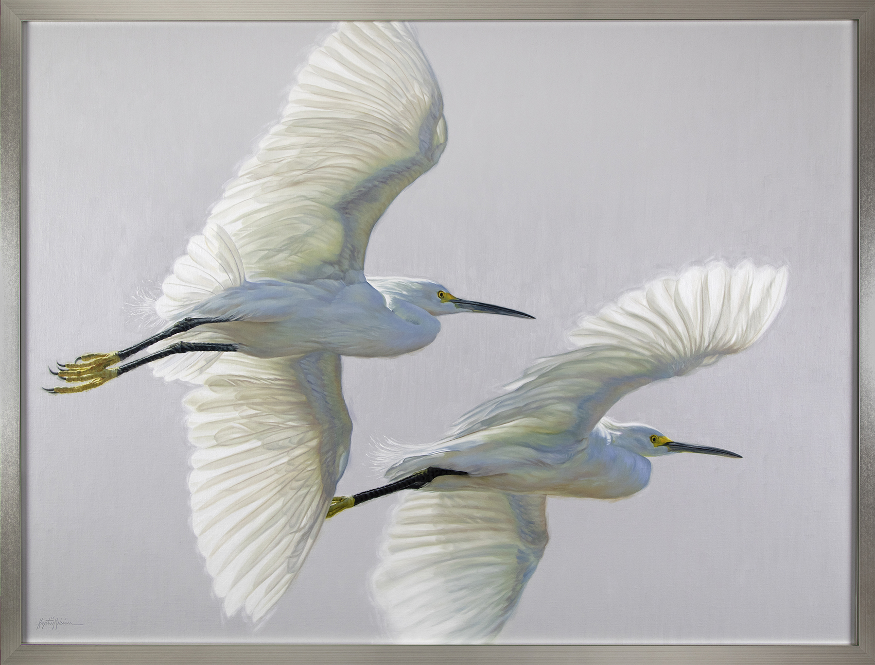 Fllying Home - painting of two flying little egrets against a light grey sky.