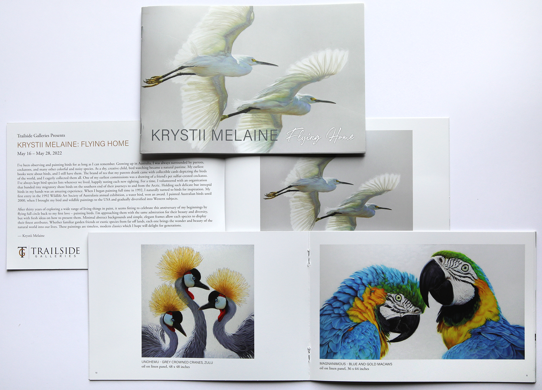 Catalog for Flying Home solo exhibition at Trailside Galleries