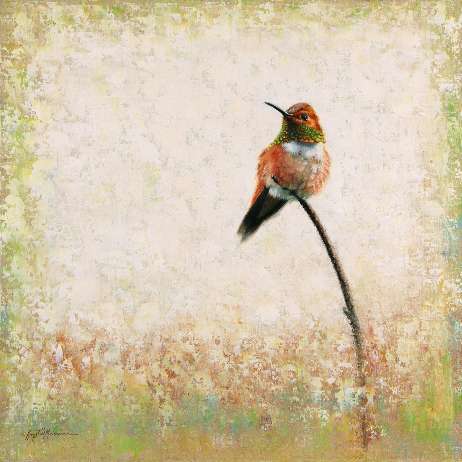 Rufous Hummingbird painting
